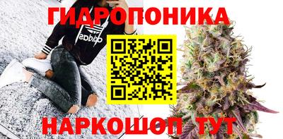 хмурый Краснодар