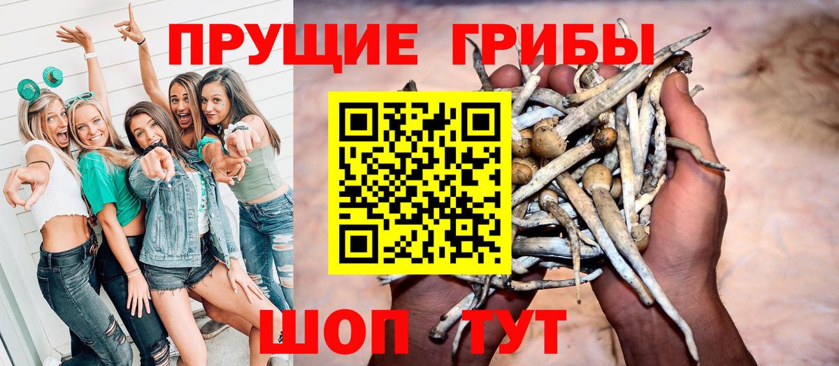 Псилоцибиновые грибы мухоморы Сергиев Посад