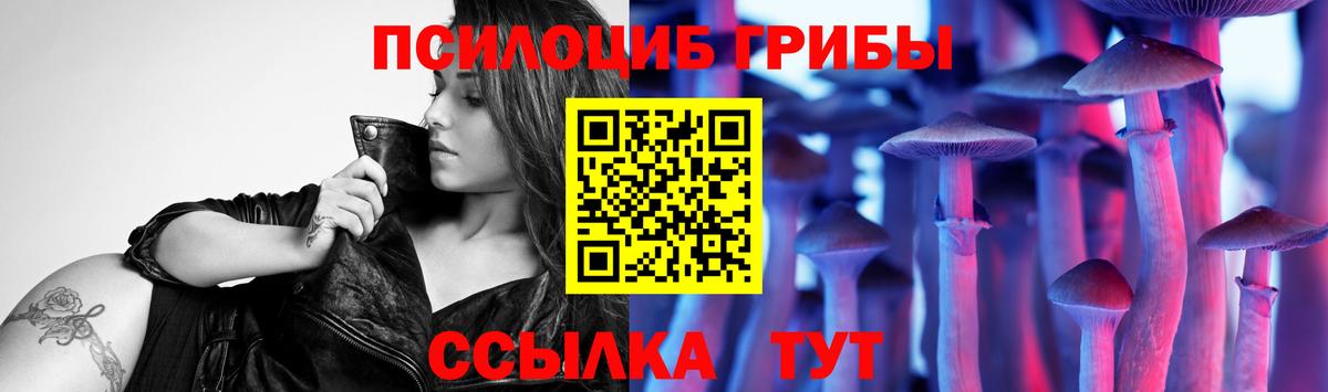 купить наркотики цена  Псилоцибиновые грибы MAGIC MUSHROOMS  Вход с VPN  Сергиев Посад 